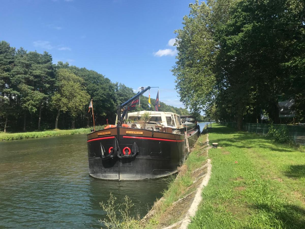 Blackpearl Boat&Breakfast Terneuzen Exteriör bild